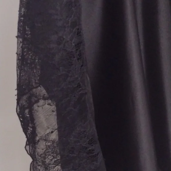 ZARA Sultry Silk Slip Lace Art Deco Flapper Dress NWT - Picture 5 of 13